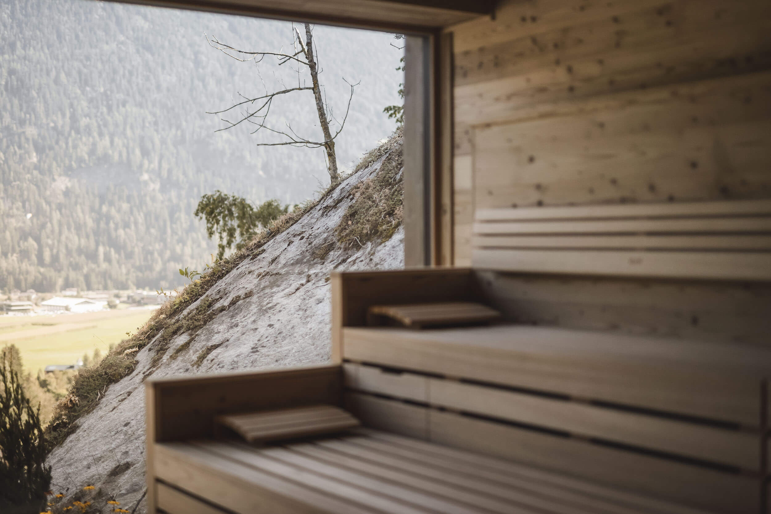 Ausblick von der Sauna in die Natur im AhriaPura Apartment - AHRIA Apartments