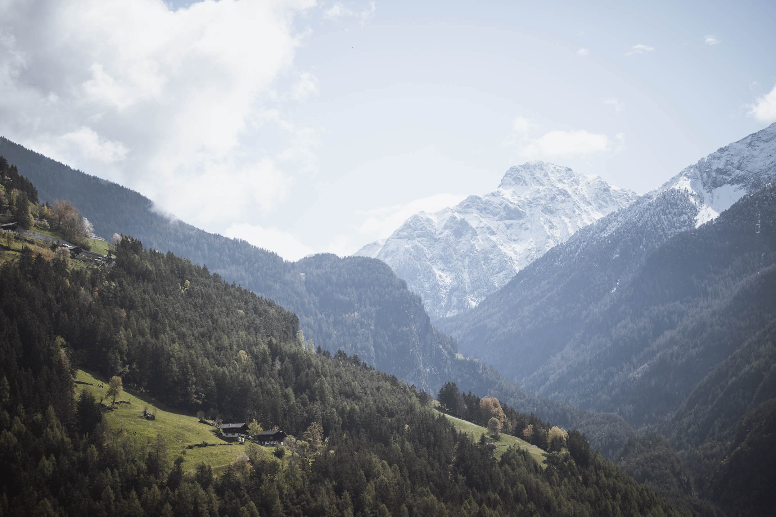 Berglandschaft des Ahrntals mit grünen Wiesen, Wäldern und markanten Berggipfeln im Hintergrund - AHRIA Apartments