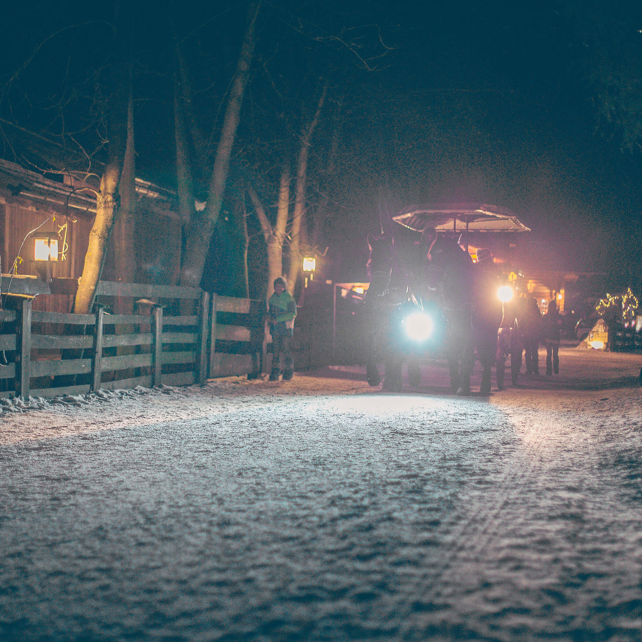 Horse-drawn sleigh ride