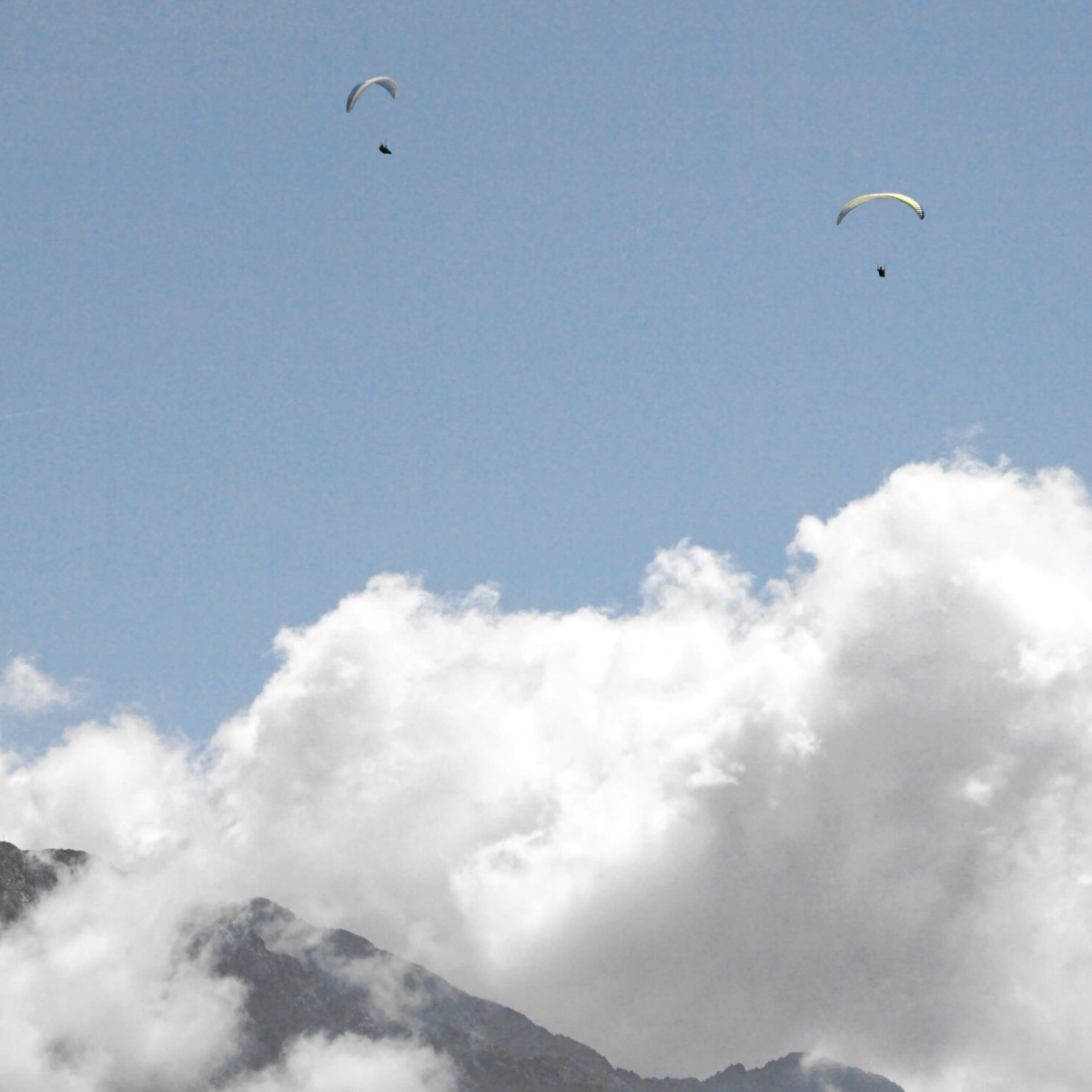 Parapendio & deltaplano