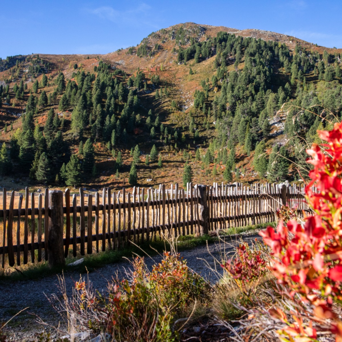 Herbstliche Berglandschaft und ein Almenzaun - AHRIA Apartments