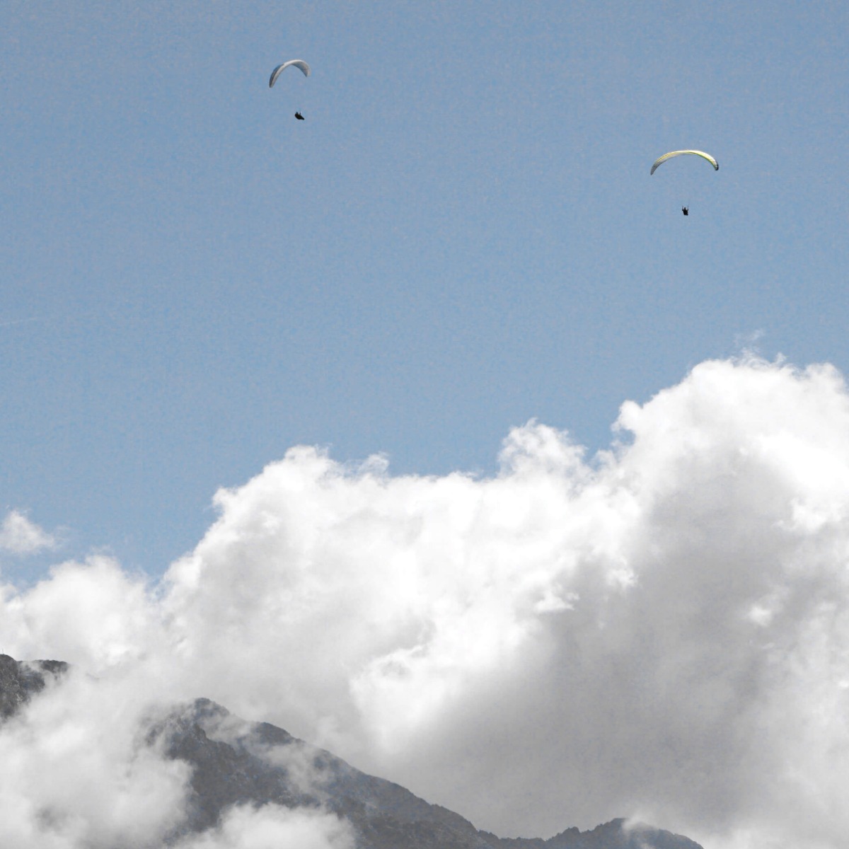 AhriaApartments -wo der Frühling fliegt